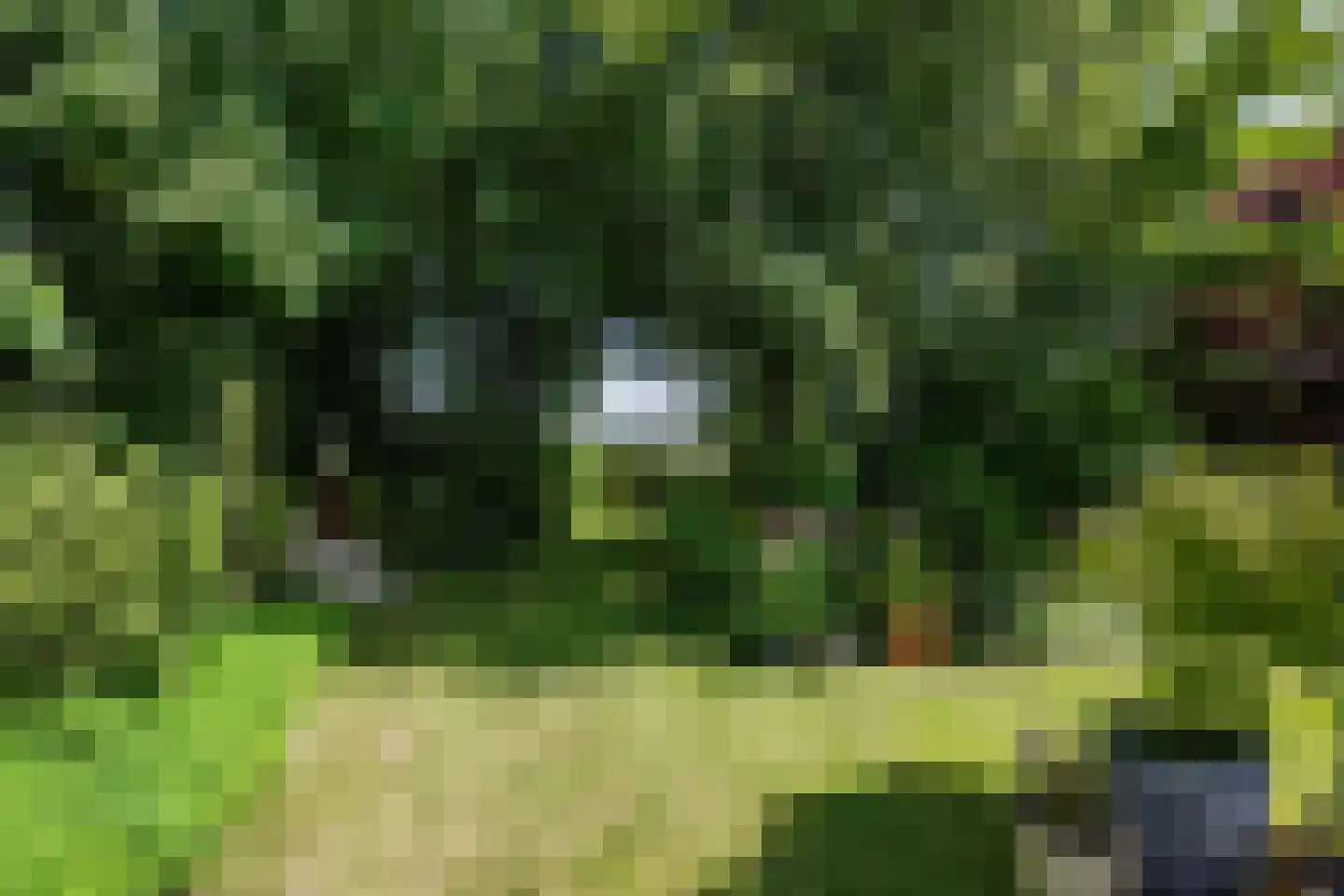 Wijmersweg 81 Loppersum thumbnail 51