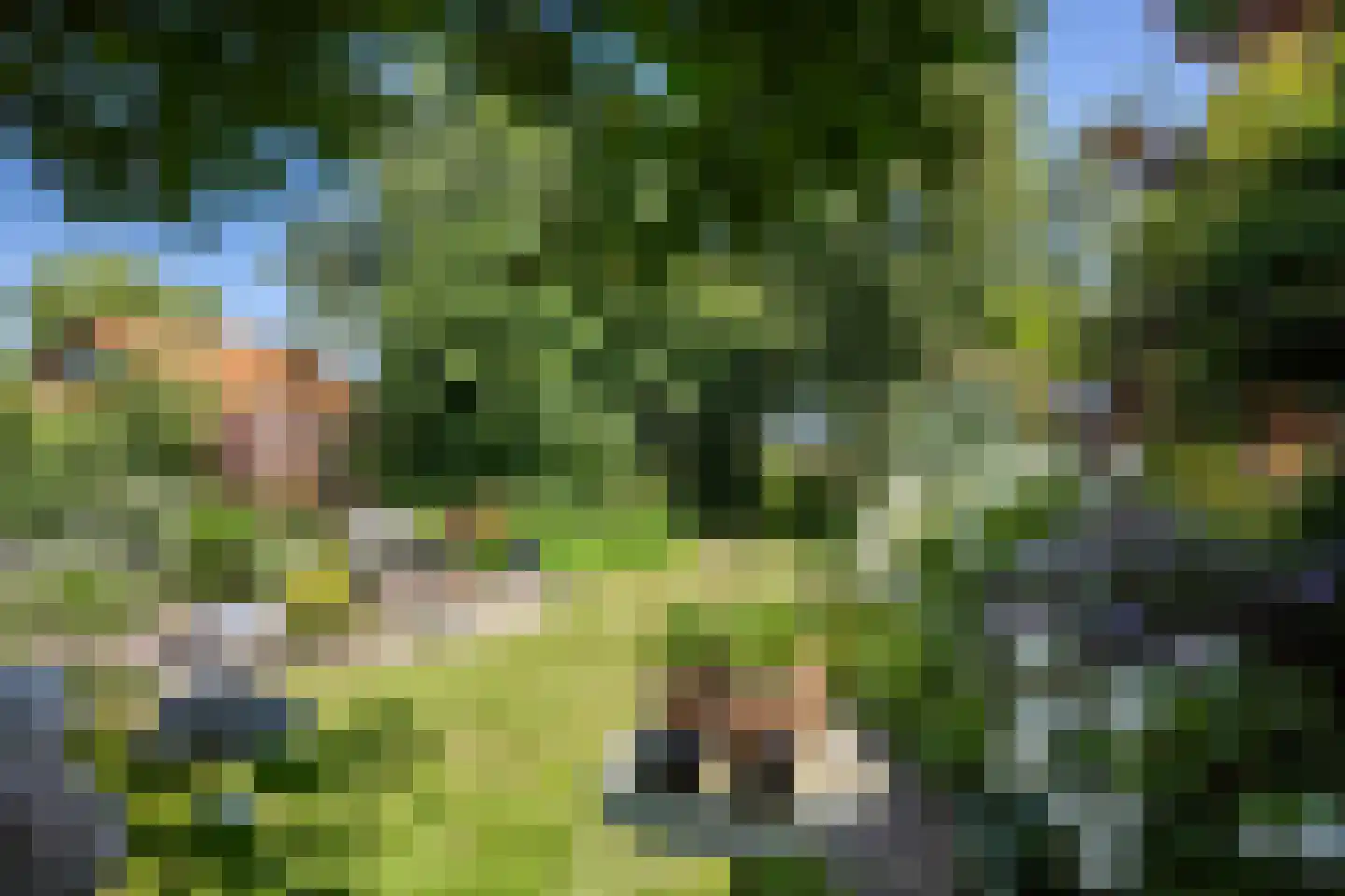 Wijmersweg 81 Loppersum thumbnail 52