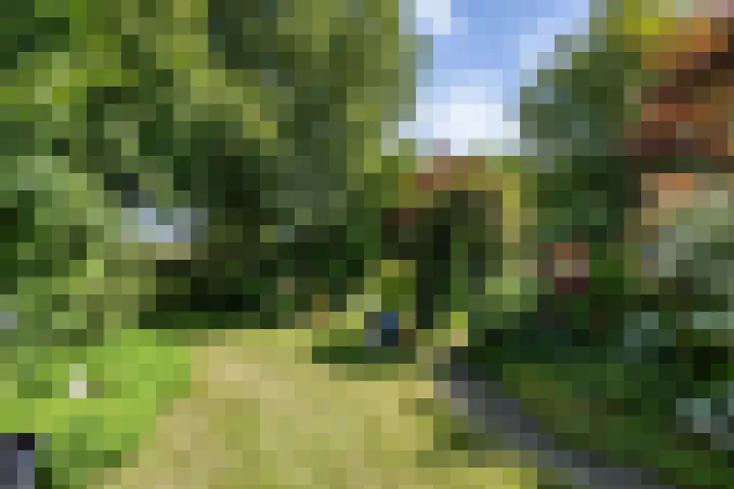Wijmersweg 81 Loppersum thumbnail 53