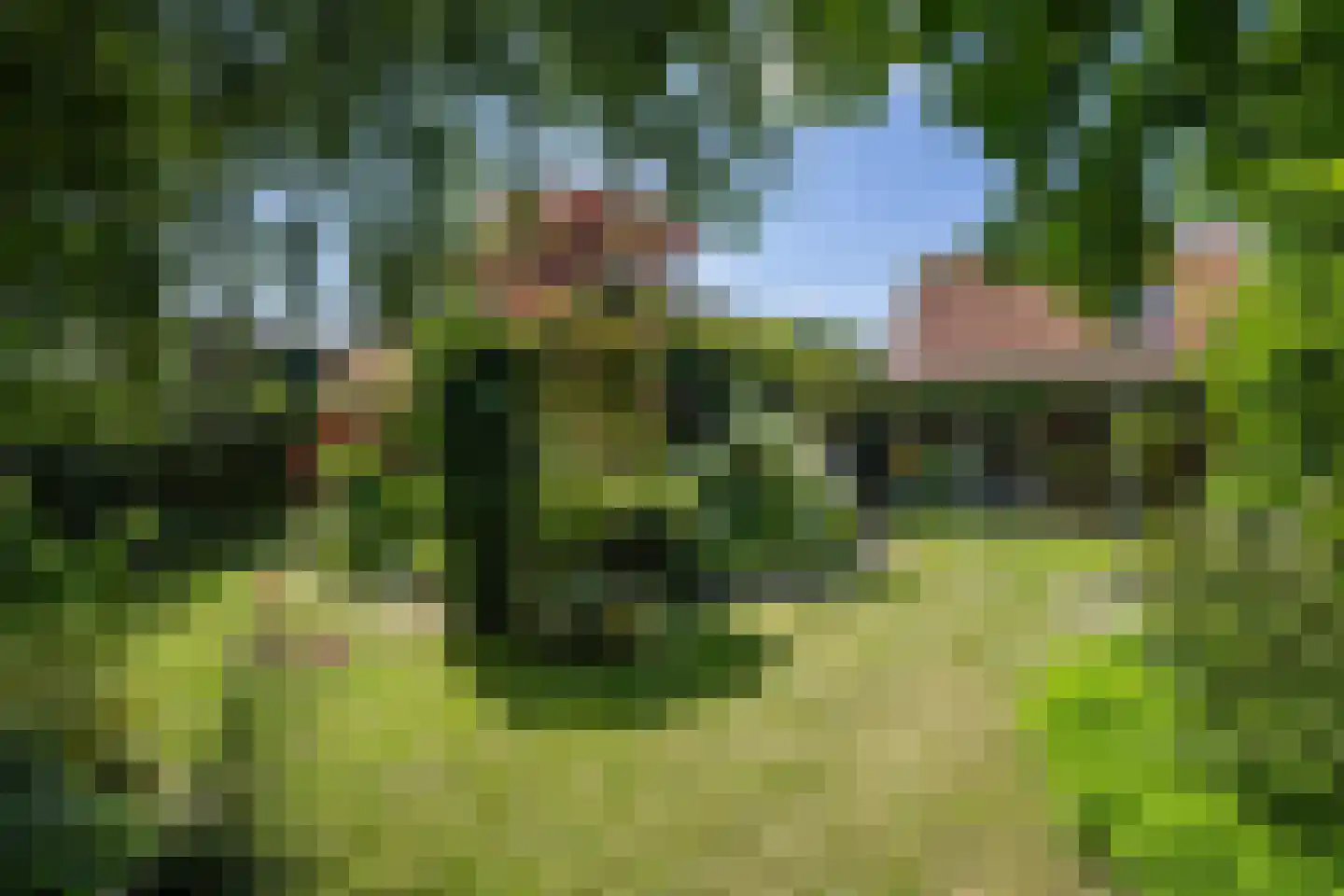 Wijmersweg 81 Loppersum thumbnail 55