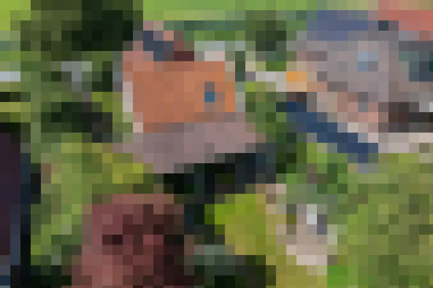 Wijmersweg 81 Loppersum thumbnail 6