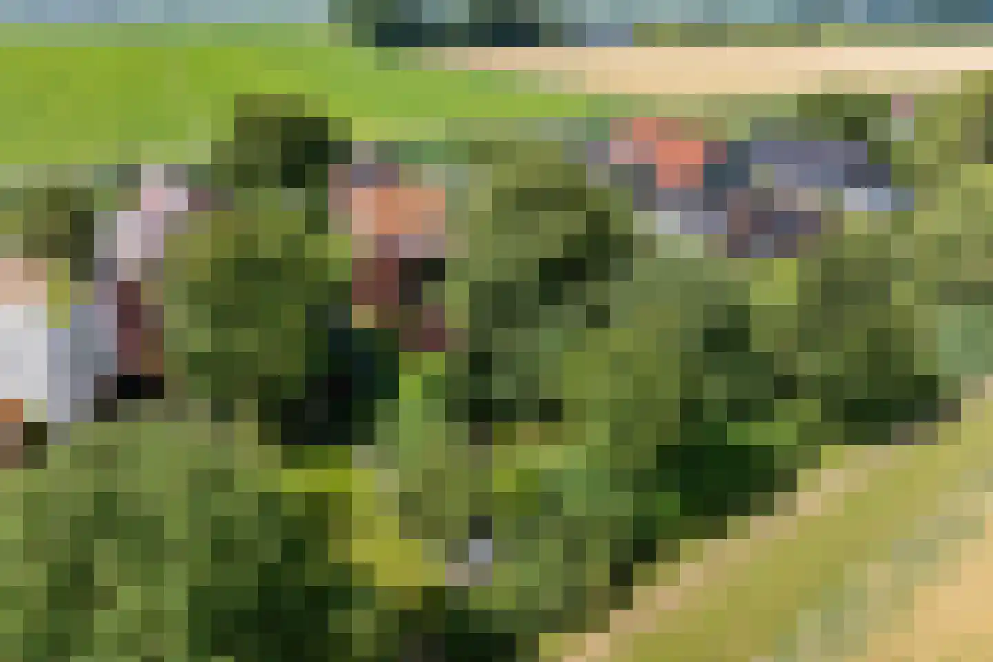 Wijmersweg 81 Loppersum thumbnail 7
