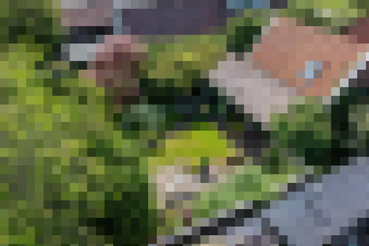 Wijmersweg 81 Loppersum thumbnail 8