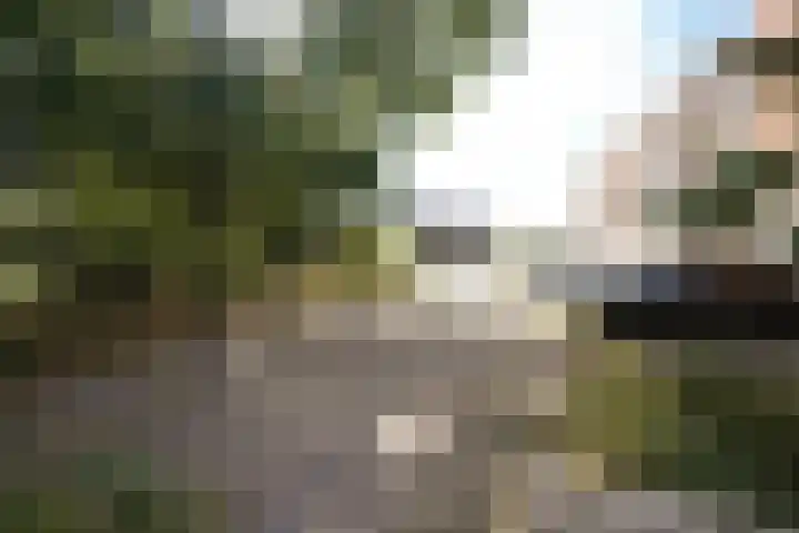 Wijmpje Koopmanstraat 38 Putten thumbnail 27