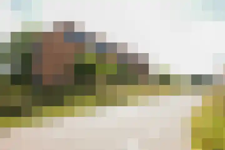 Wijmpje Koopmanstraat 38 Putten thumbnail 32