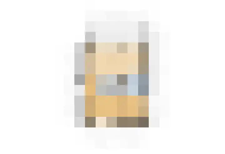 Wijmpje Koopmanstraat 38 Putten thumbnail 34