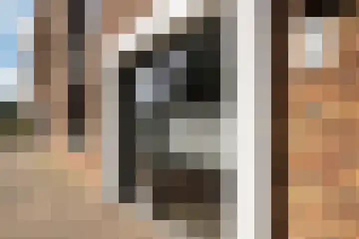 Wijmpje Koopmanstraat 38 Putten thumbnail 4