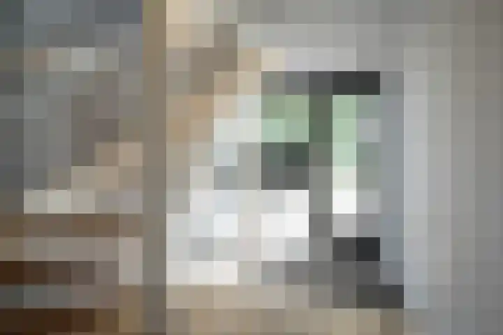 Wijmpje Koopmanstraat 38 Putten thumbnail 5