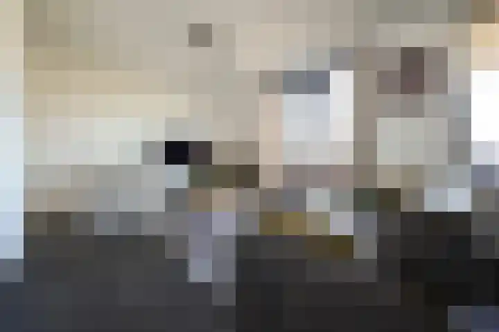 Wijmpje Koopmanstraat 38 Putten thumbnail 9