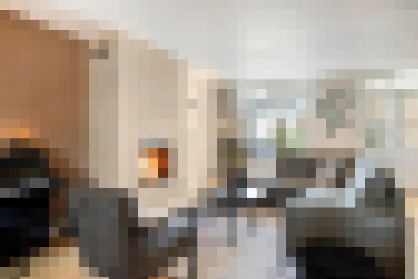 Wijnakker 20 Barneveld thumbnail 10