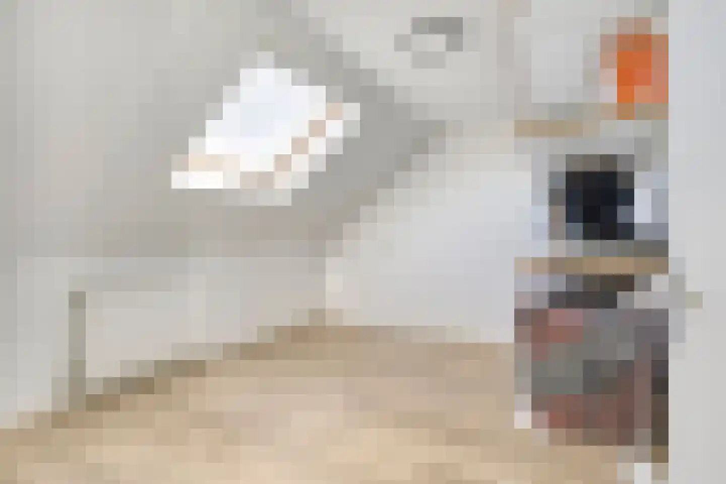 Wijnakker 20 Barneveld thumbnail 27