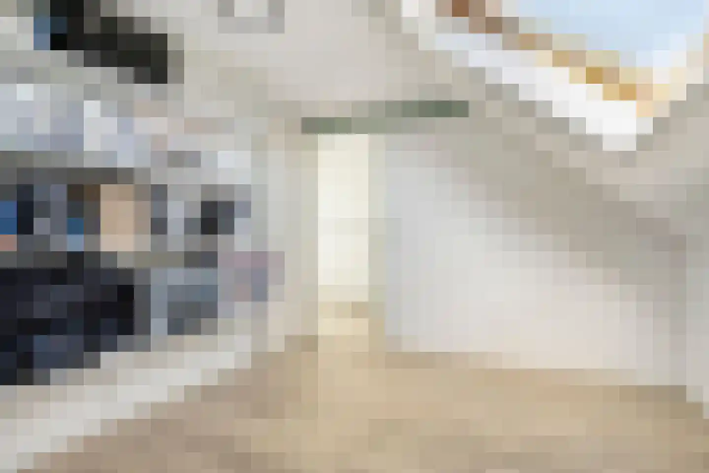 Wijnakker 20 Barneveld thumbnail 28