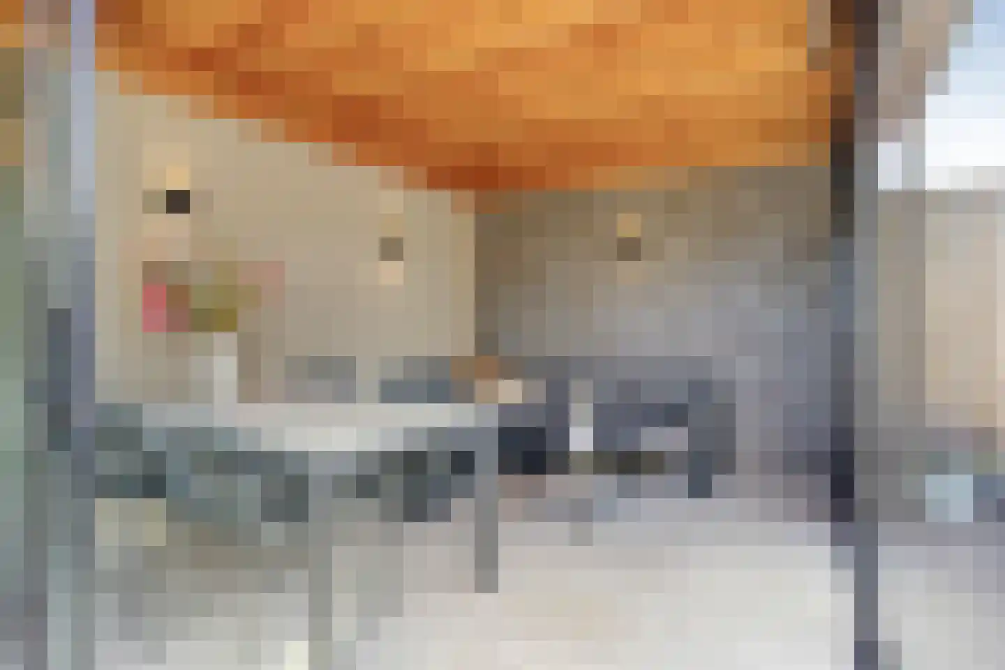 Wijnakker 20 Barneveld thumbnail 36