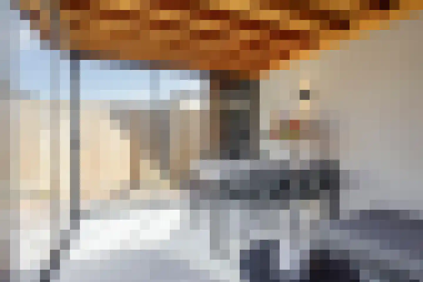 Wijnakker 20 Barneveld thumbnail 37