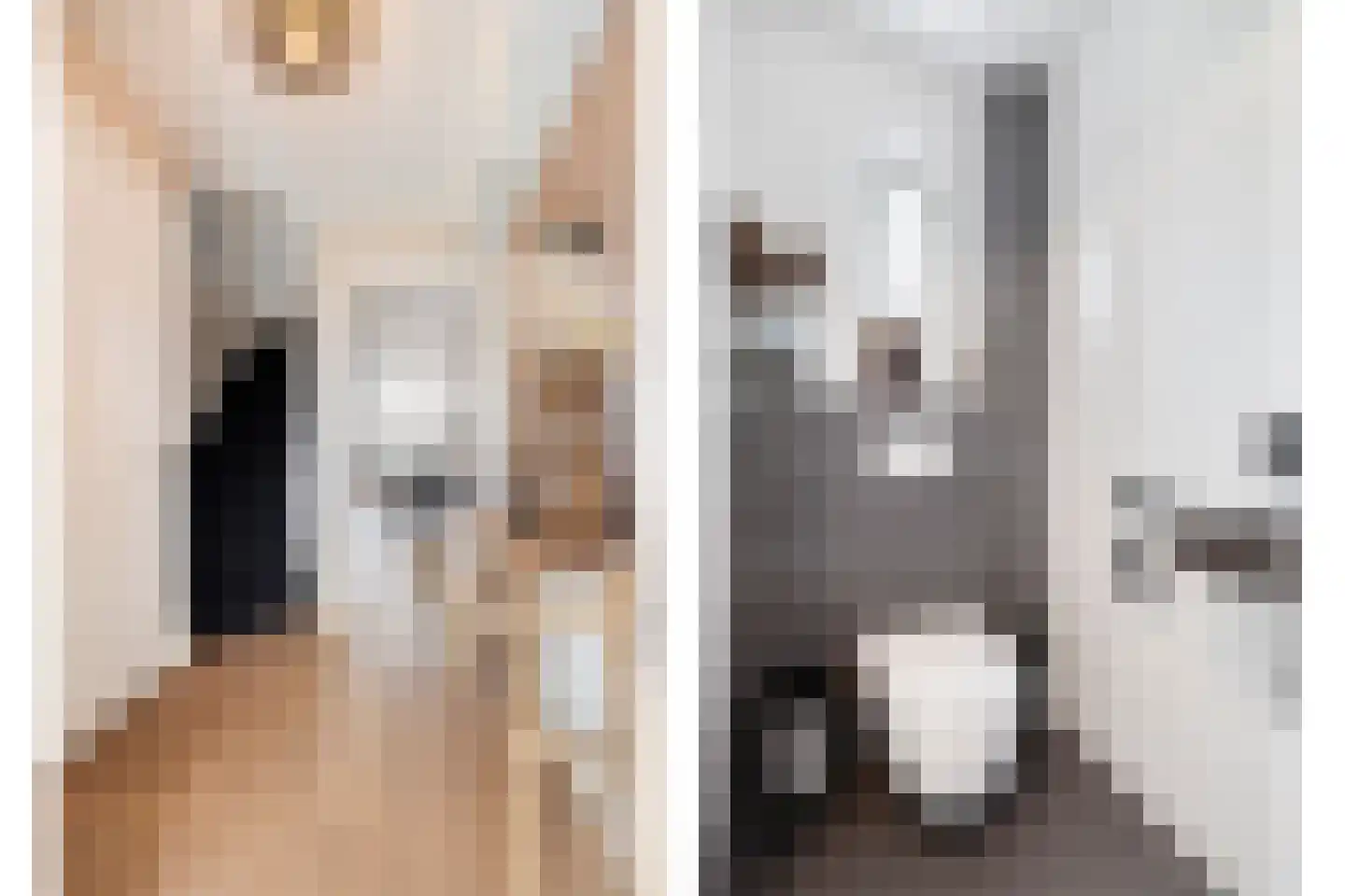 Wijnakker 20 Barneveld thumbnail 4