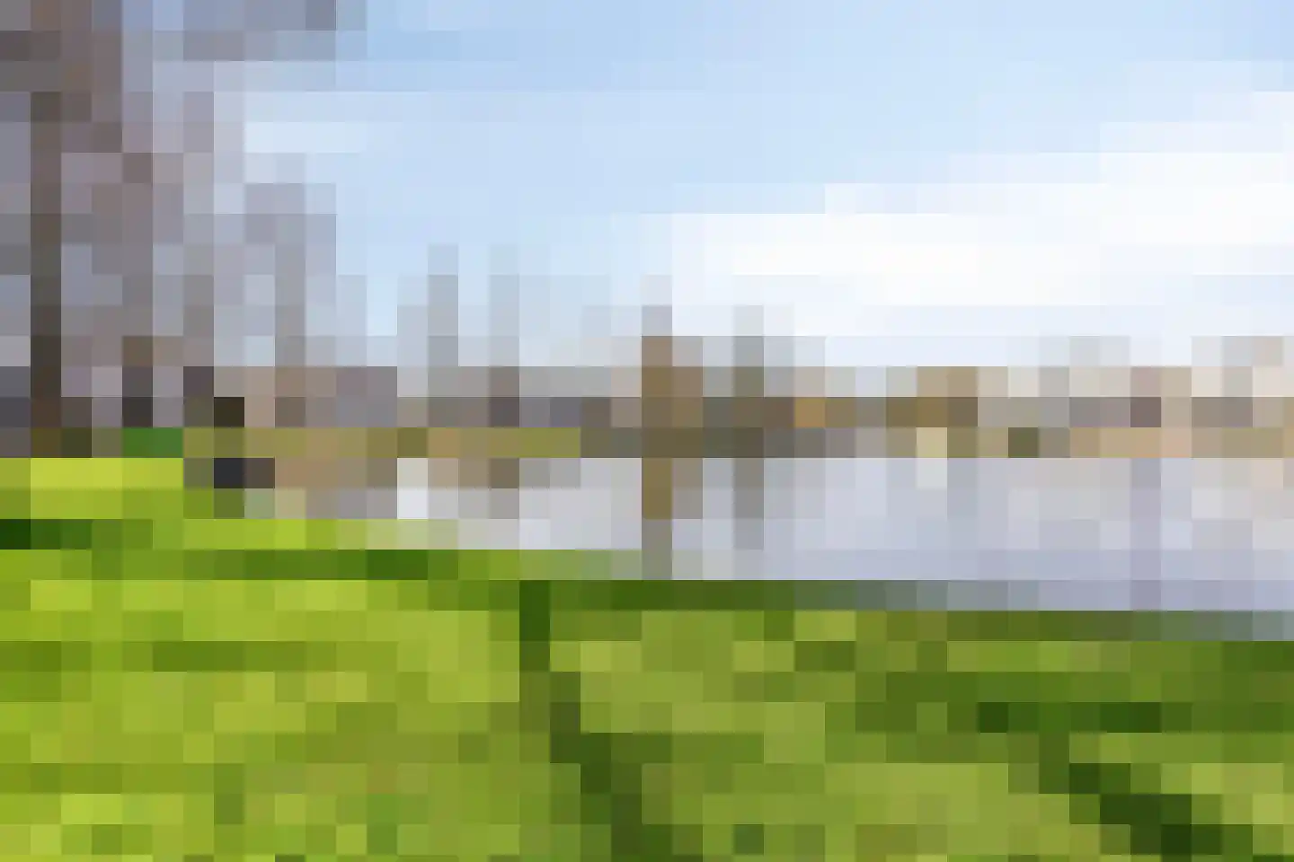 Wijnakker 20 Barneveld thumbnail 43