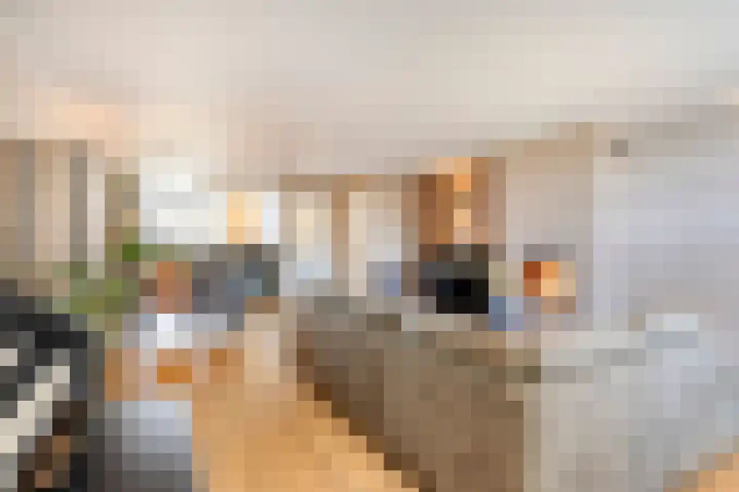 Wijnakker 20 Barneveld thumbnail 9