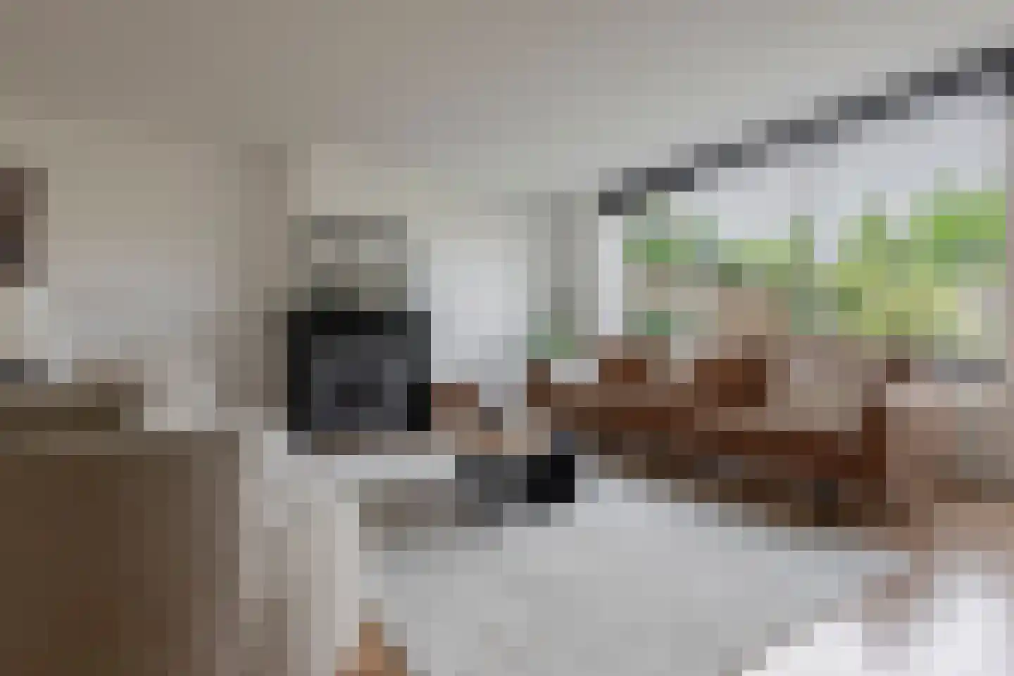 Wijnakker 25 Barneveld thumbnail 11