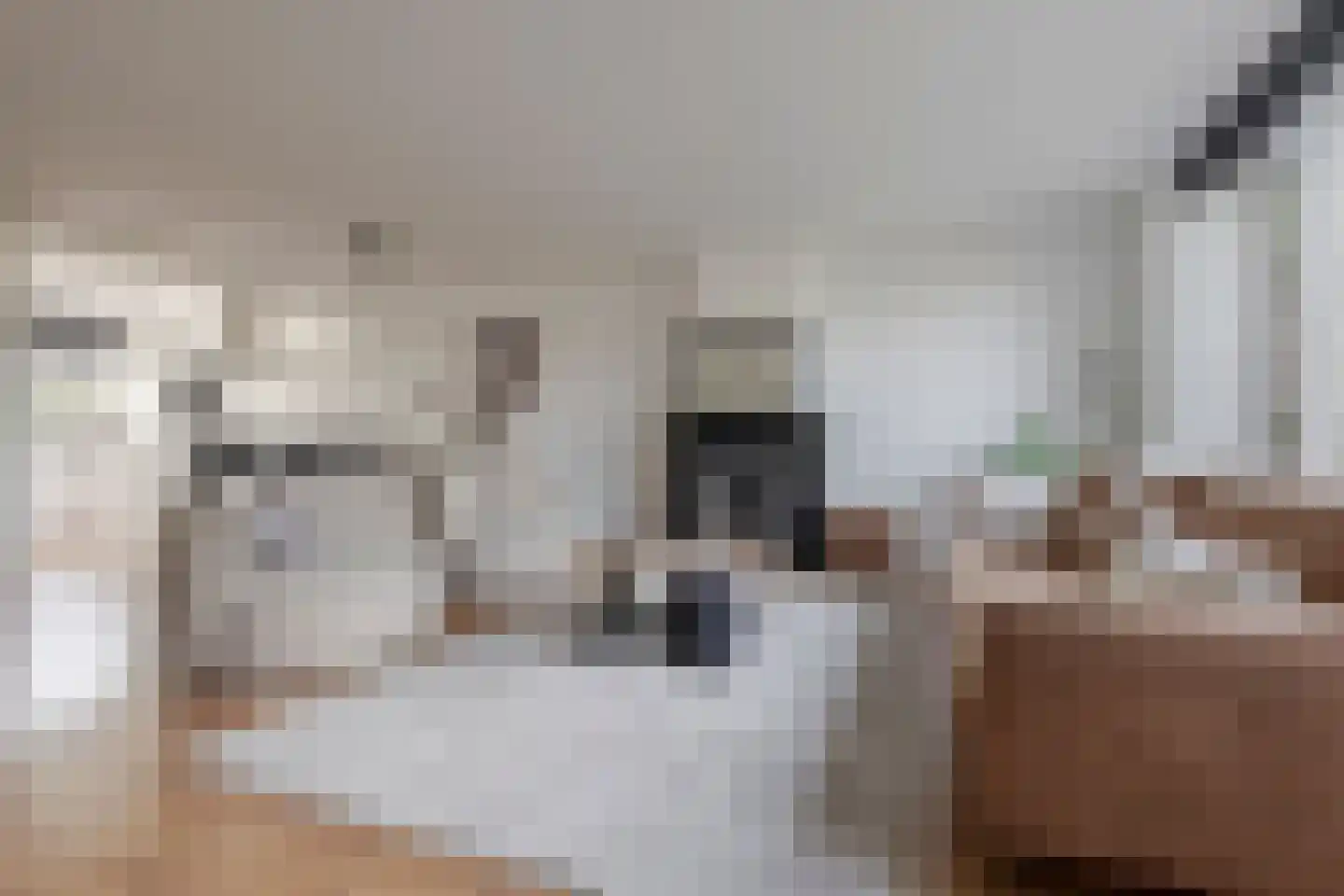 Wijnakker 25 Barneveld thumbnail 12