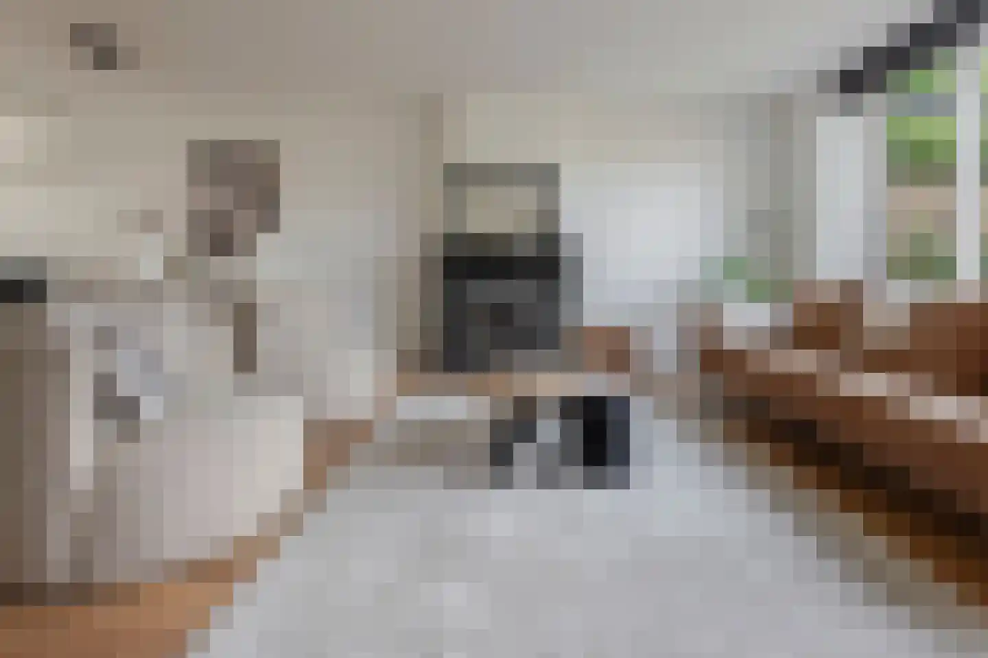 Wijnakker 25 Barneveld thumbnail 13