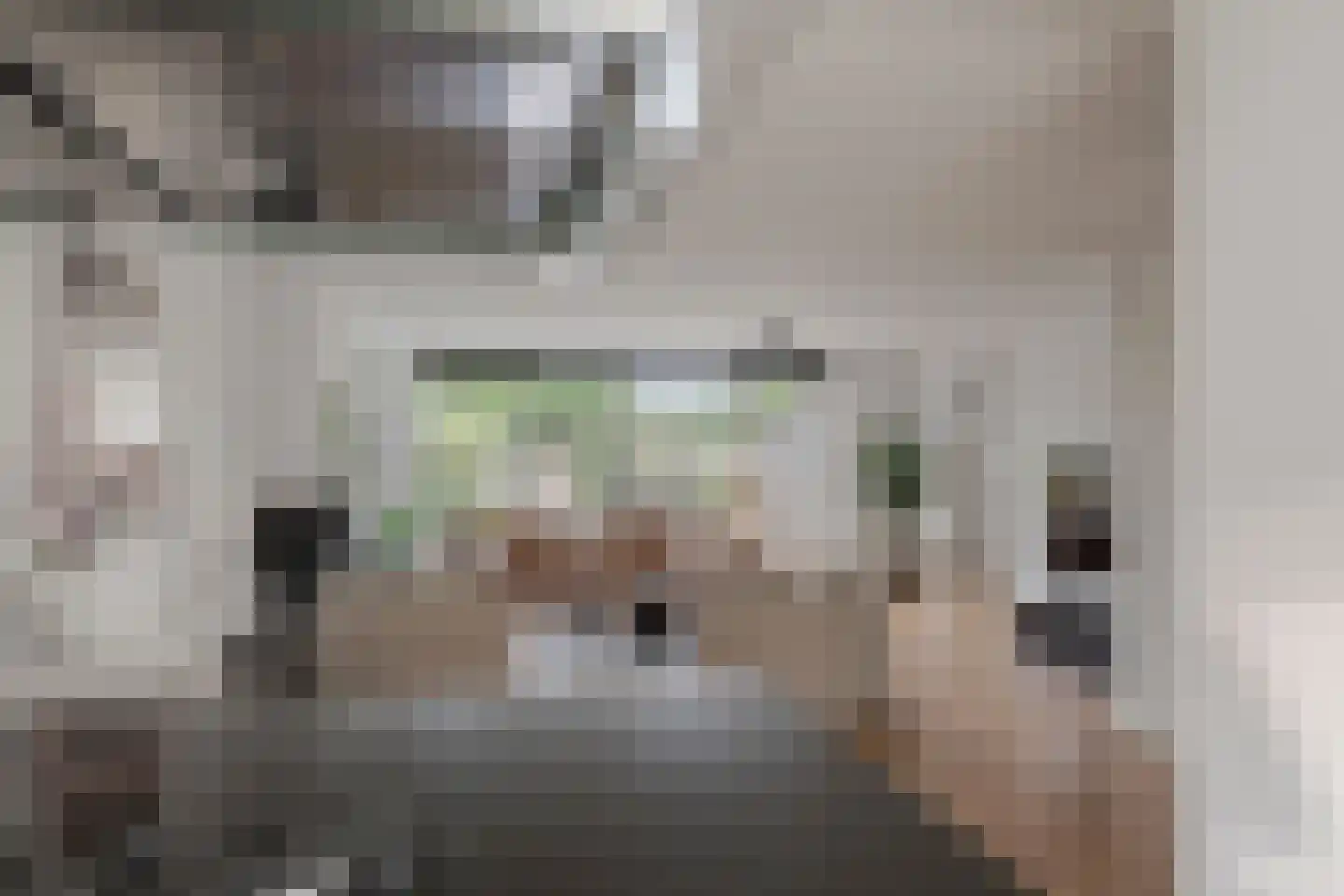 Wijnakker 25 Barneveld thumbnail 20