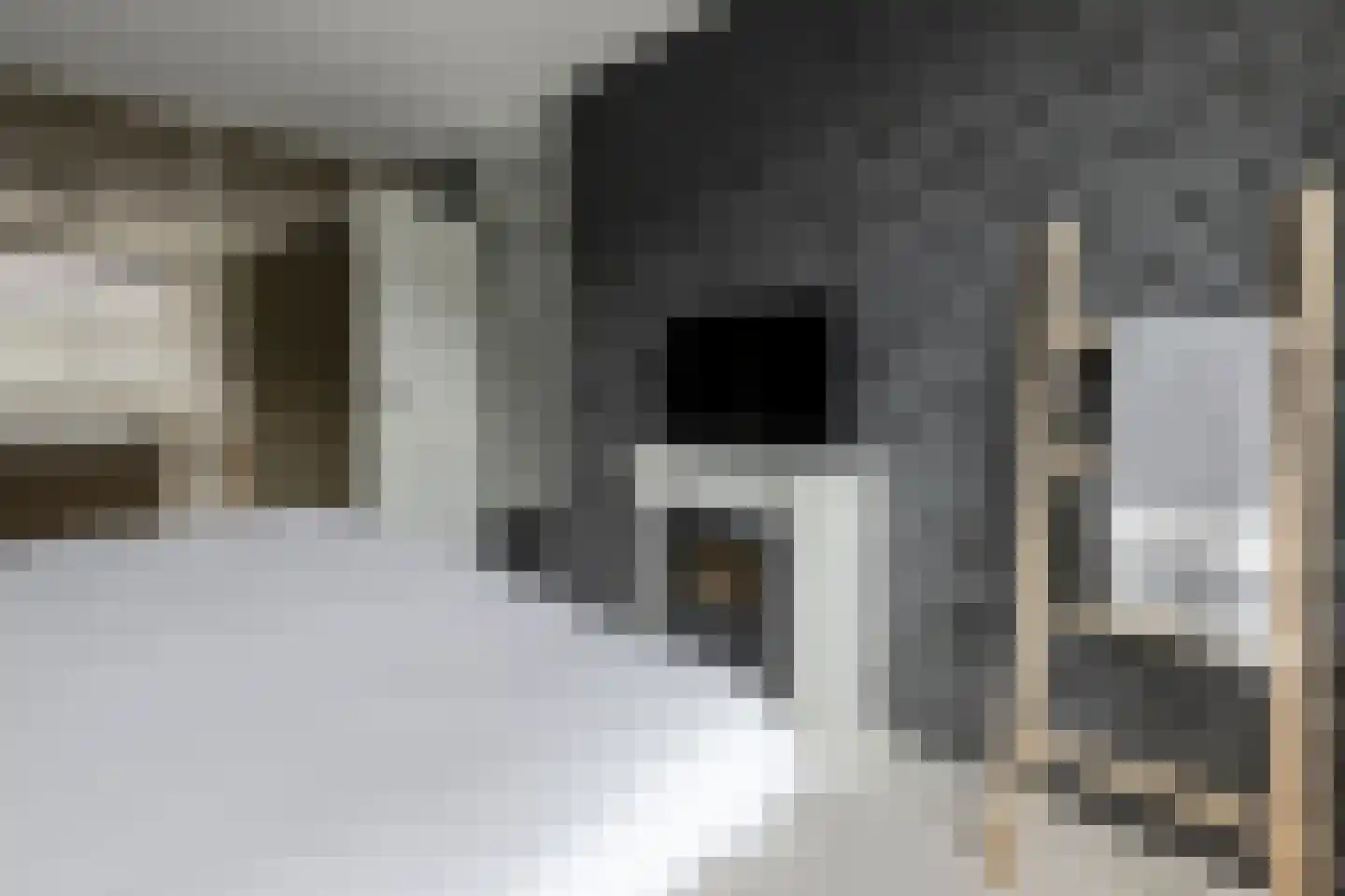 Wijnakker 25 Barneveld thumbnail 30