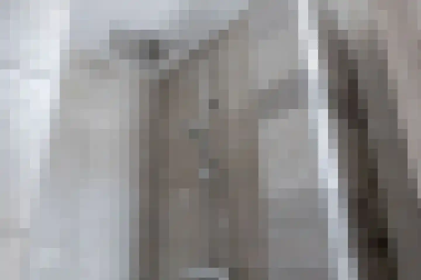 Wijnakker 25 Barneveld thumbnail 33