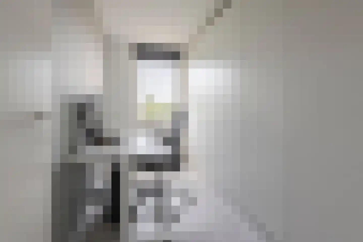 Wijnakker 25 Barneveld thumbnail 38