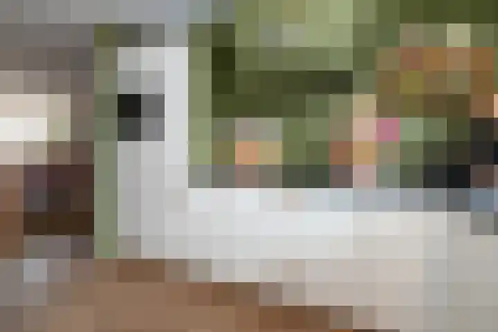 Wijnakker 6 Barneveld thumbnail 10