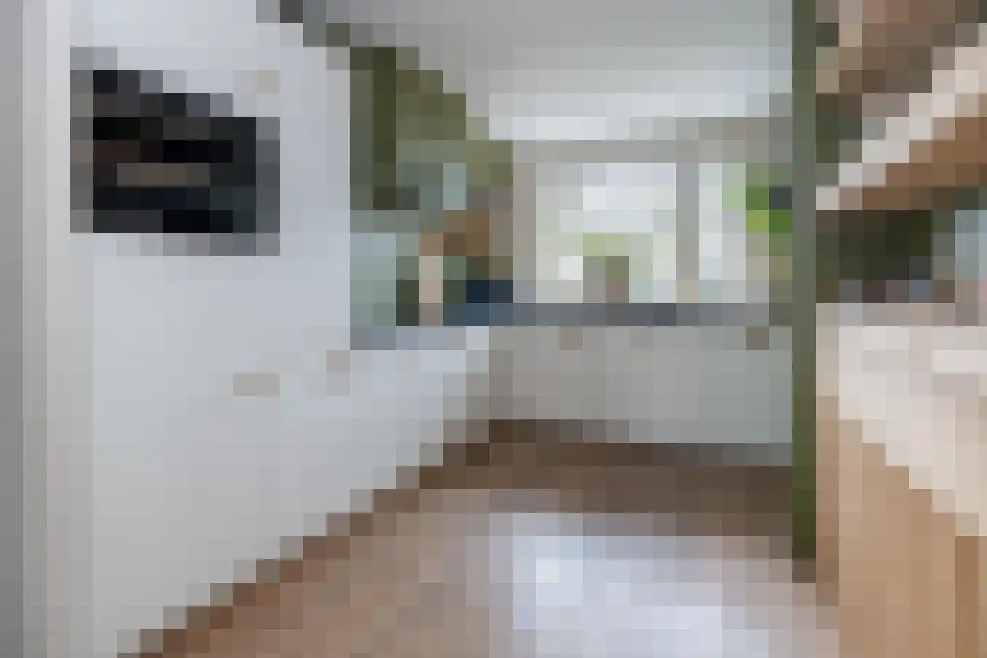 Wijnakker 6 Barneveld thumbnail 11