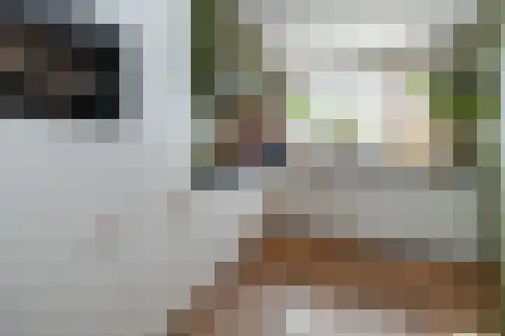 Wijnakker 6 Barneveld thumbnail 11