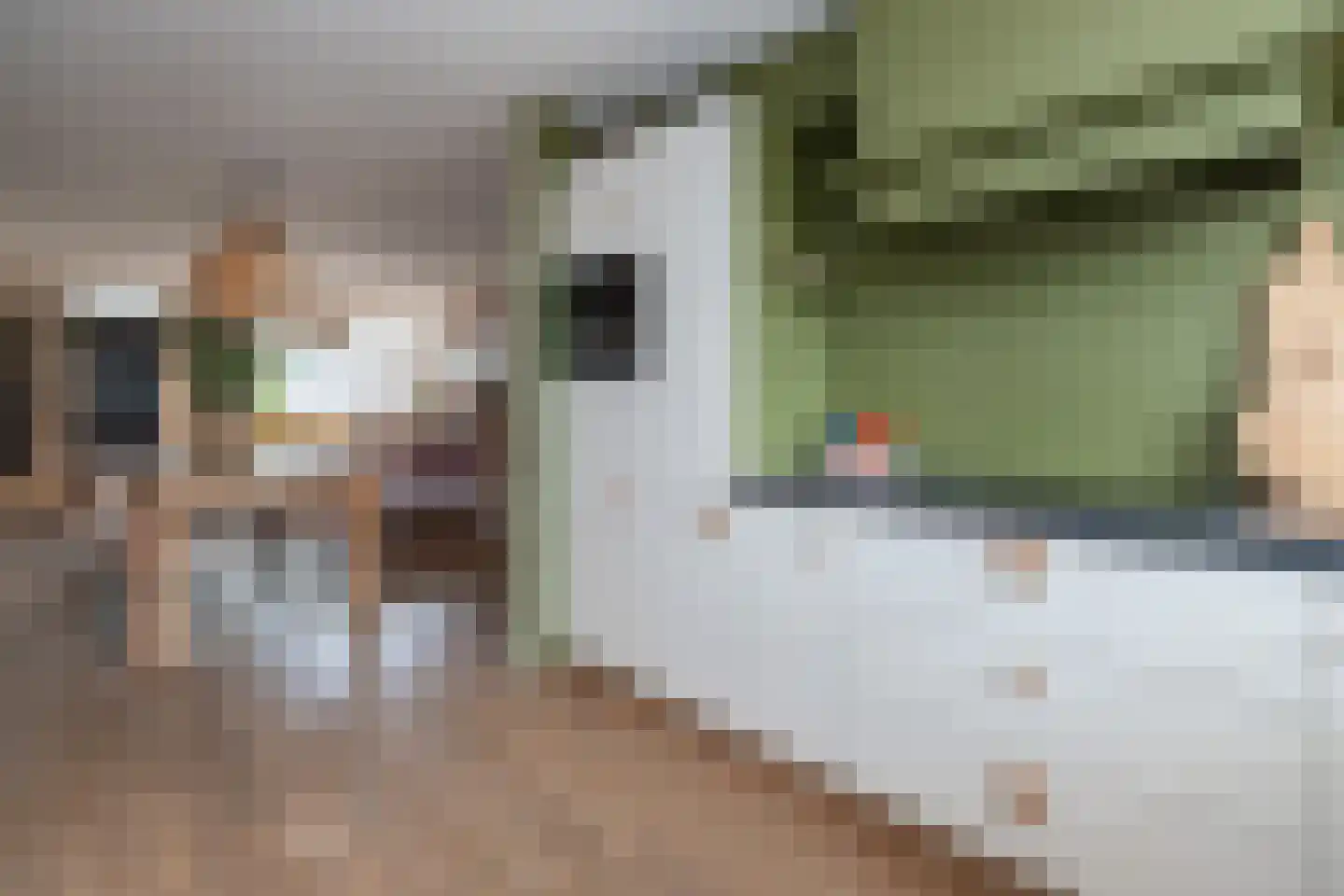 Wijnakker 6 Barneveld thumbnail 12