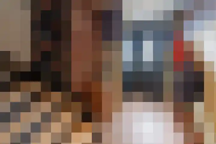 Wijnakker 6 Barneveld thumbnail 13