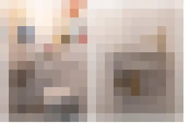 Wijnakker 6 Barneveld thumbnail 14