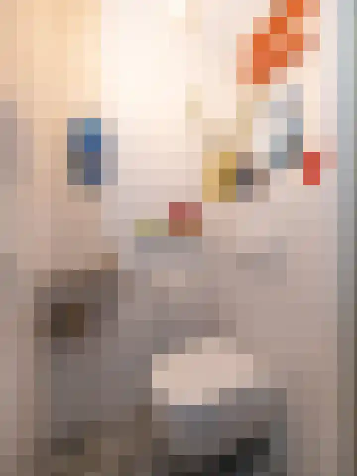 Wijnakker 6 Barneveld thumbnail 15