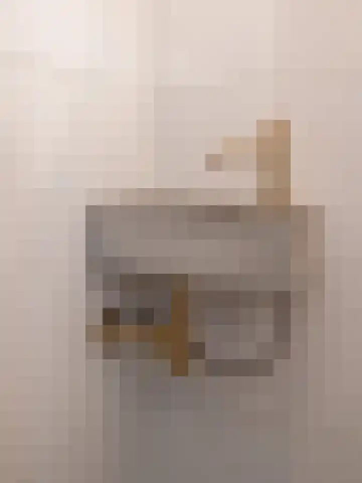 Wijnakker 6 Barneveld thumbnail 16