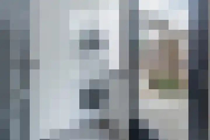 Wijnakker 6 Barneveld thumbnail 18