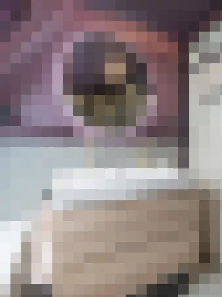 Wijnakker 6 Barneveld thumbnail 26