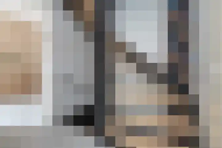 Wijnakker 6 Barneveld thumbnail 28