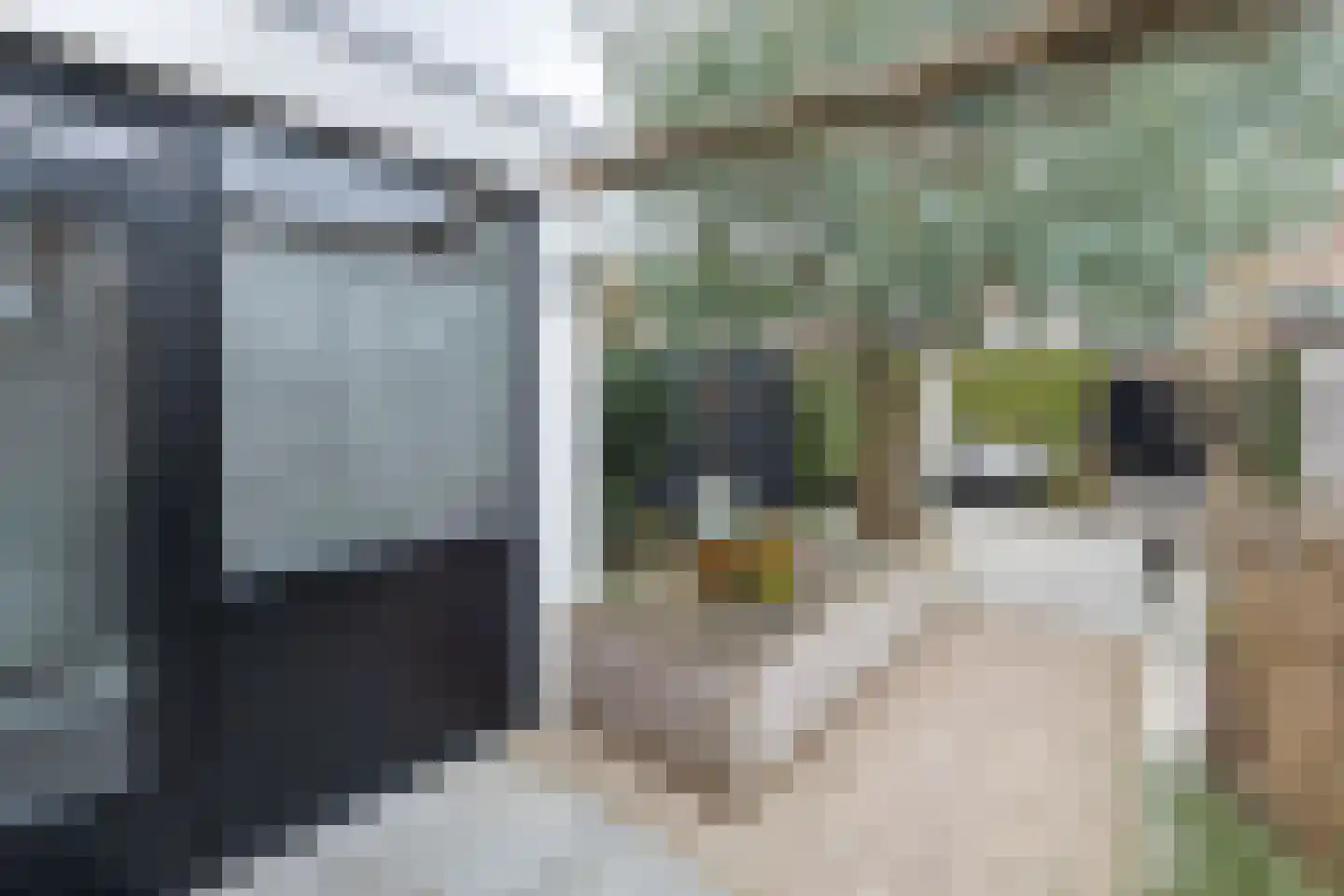 Wijnakker 6 Barneveld thumbnail 32