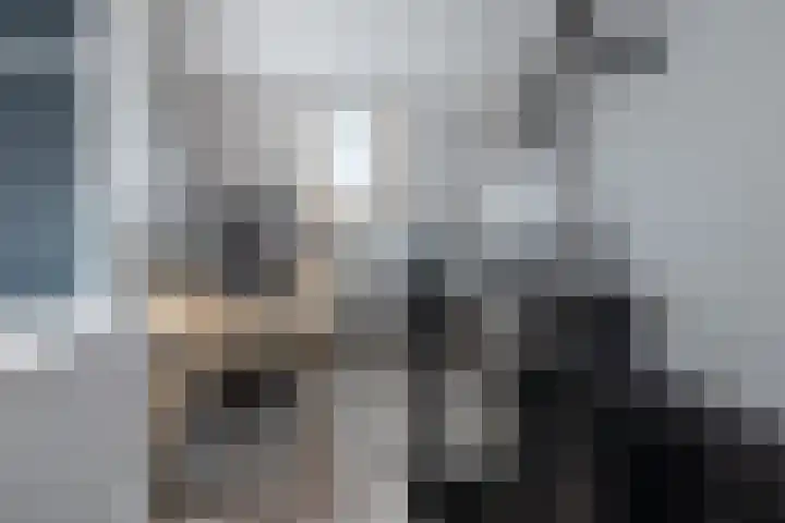 Wijnakker 6 Barneveld thumbnail 32