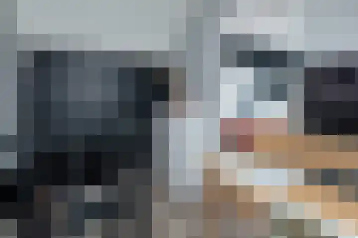Wijnakker 6 Barneveld thumbnail 33