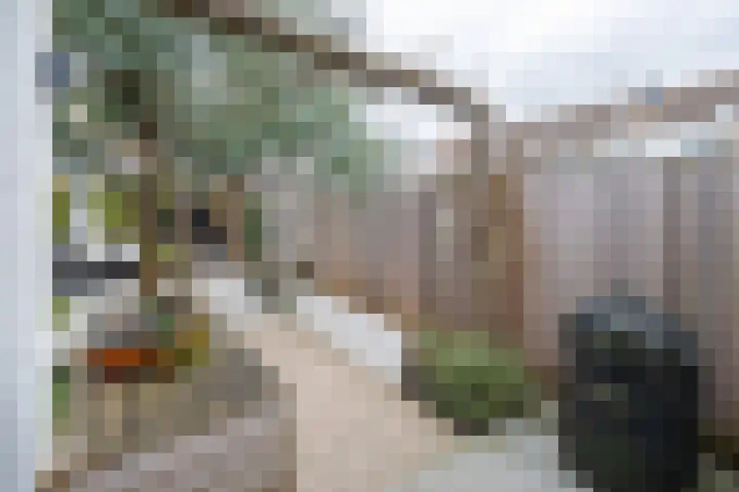 Wijnakker 6 Barneveld thumbnail 33