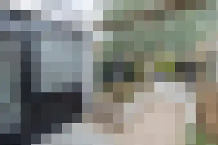 Wijnakker 6 Barneveld thumbnail 34