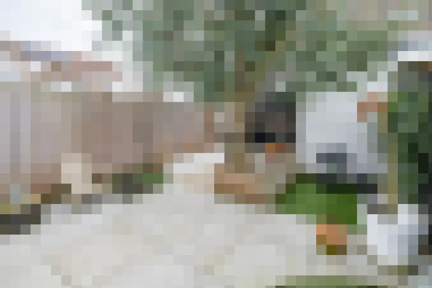 Wijnakker 6 Barneveld thumbnail 34