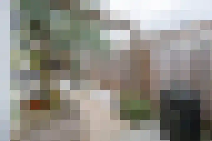 Wijnakker 6 Barneveld thumbnail 35
