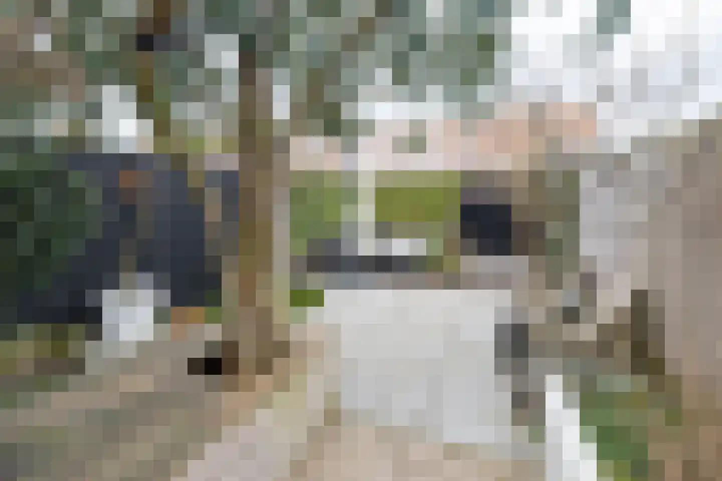 Wijnakker 6 Barneveld thumbnail 35