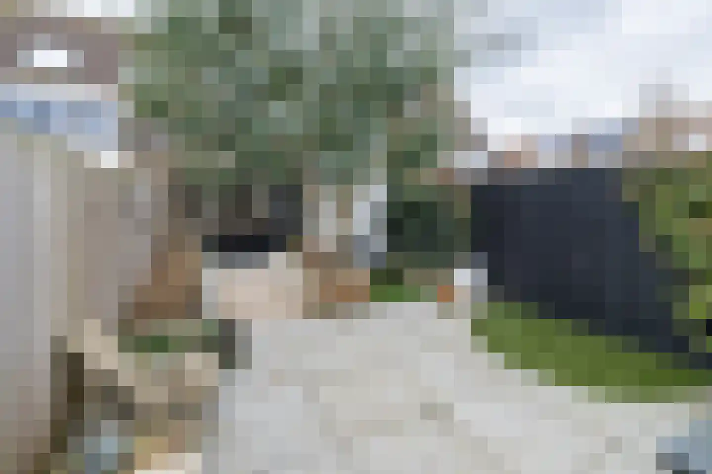 Wijnakker 6 Barneveld thumbnail 36