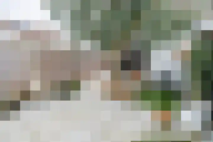 Wijnakker 6 Barneveld thumbnail 36