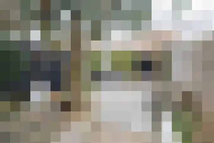 Wijnakker 6 Barneveld thumbnail 37